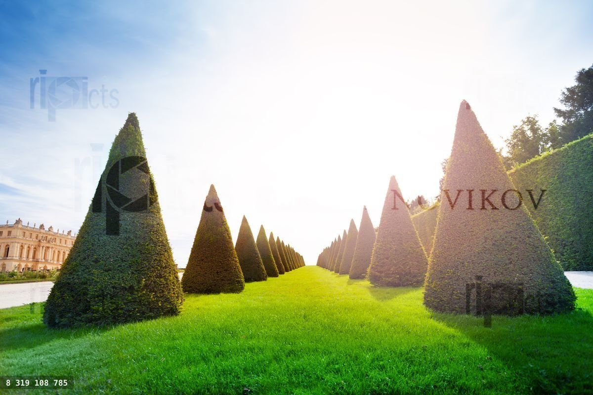 Gardens of Versailles at sunny summer day