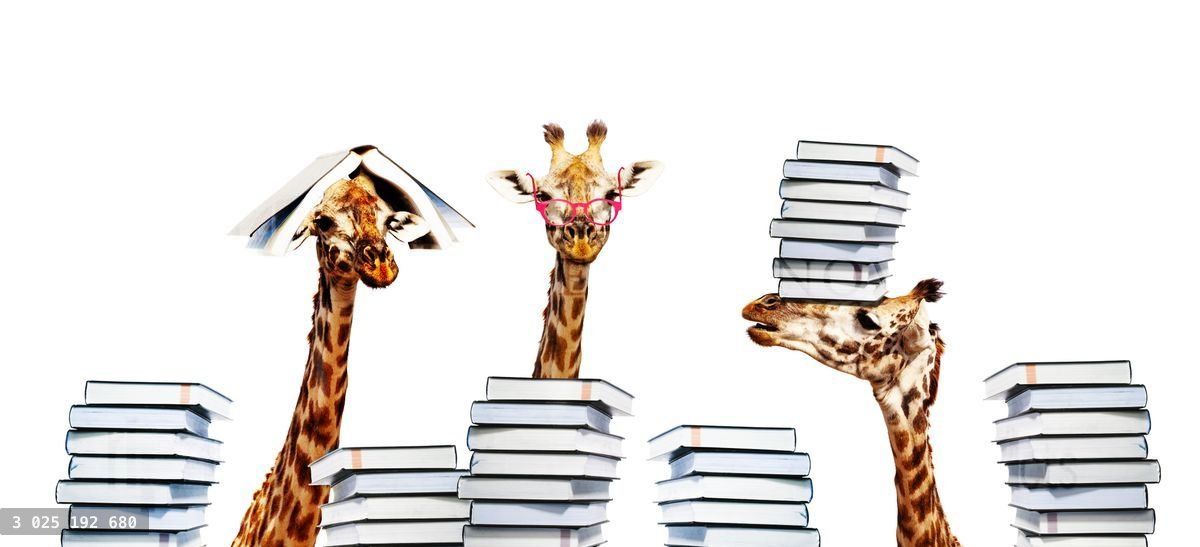 Group of three happy giraffes with book on heads