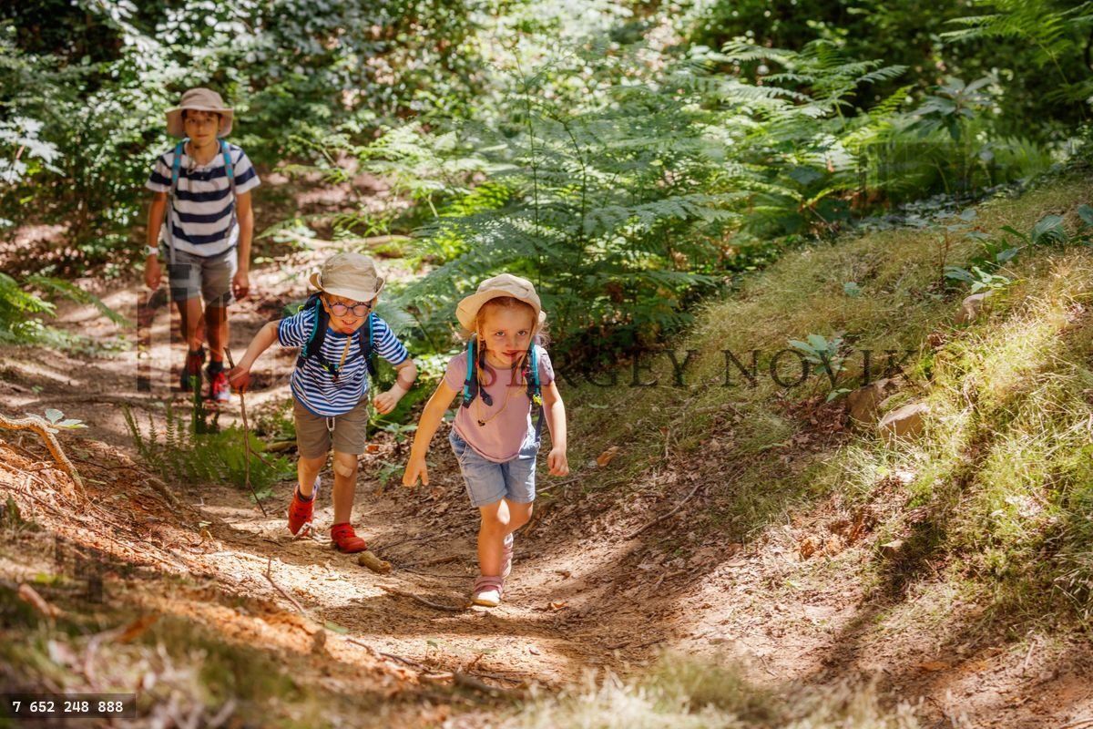 Young adventurers hiking up scenic path in forest, excitedly