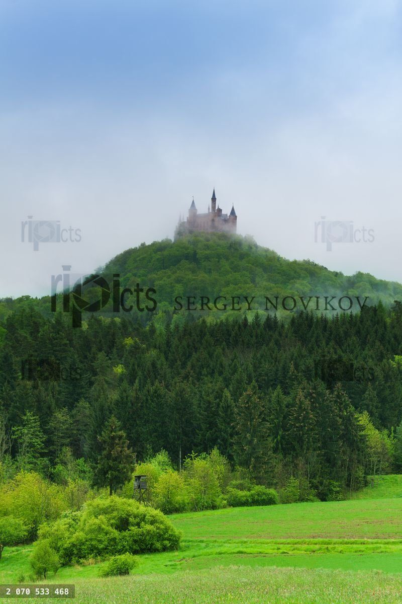 Beautiful view of forest and Hohenzollern castle