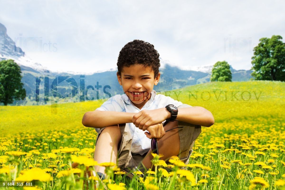 Yellow dandelions fields