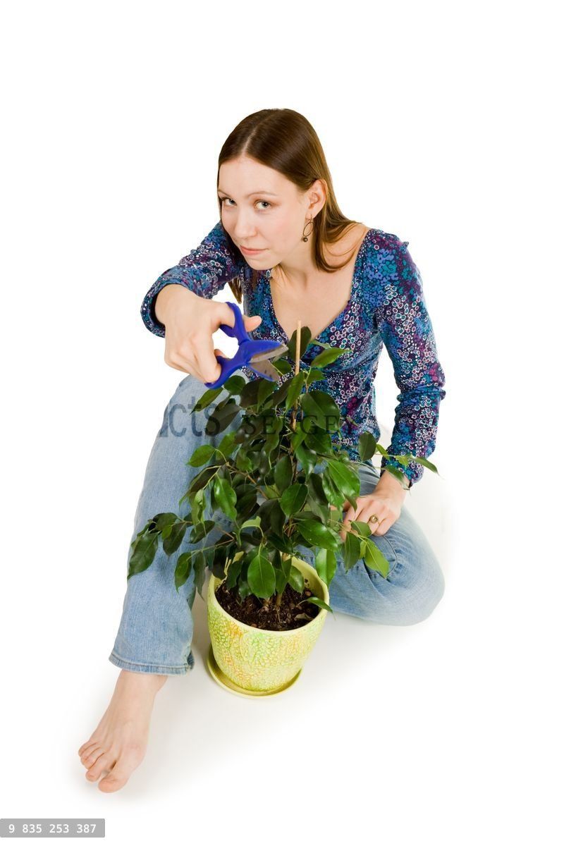 Woman cutting plant with blue scissors