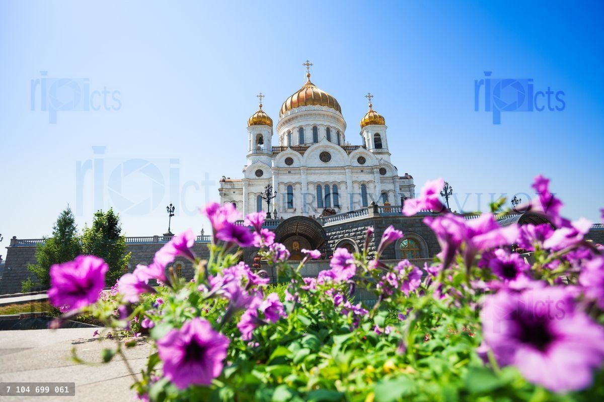 Cathedral of Christ the Savior with purple flowers