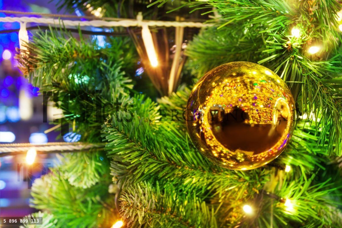 Xmas tree decorated with sparkling golden bauble