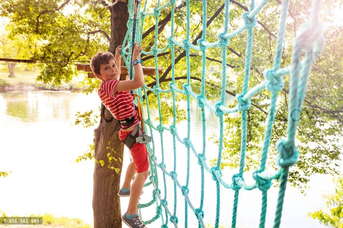 Boy climbing net high on tree at adventure park