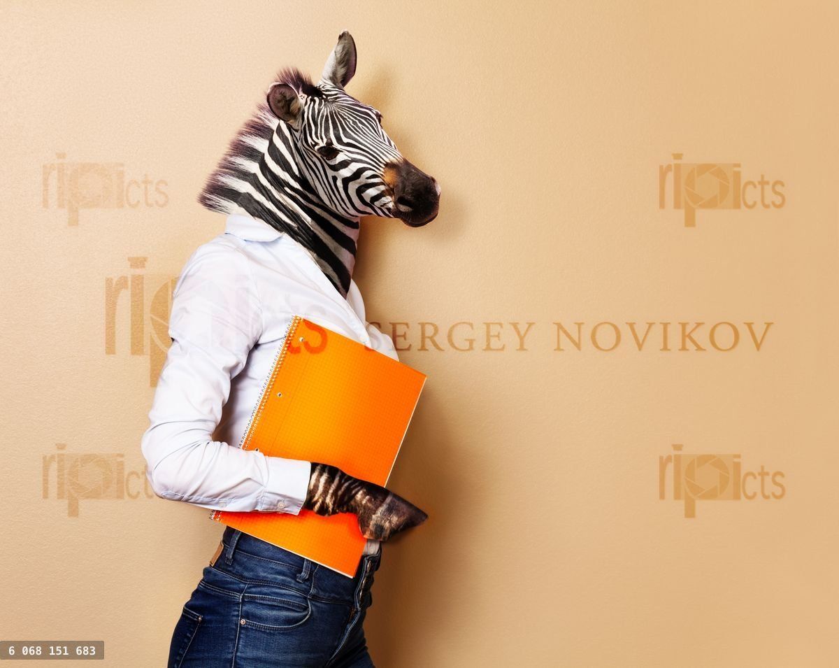 Zebra head woman office worker concept portrait