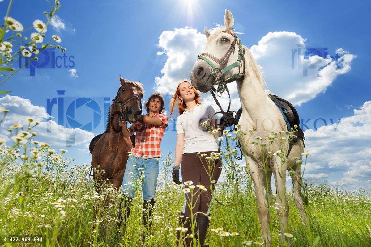 Young couple with horses walking in flowery meadow
