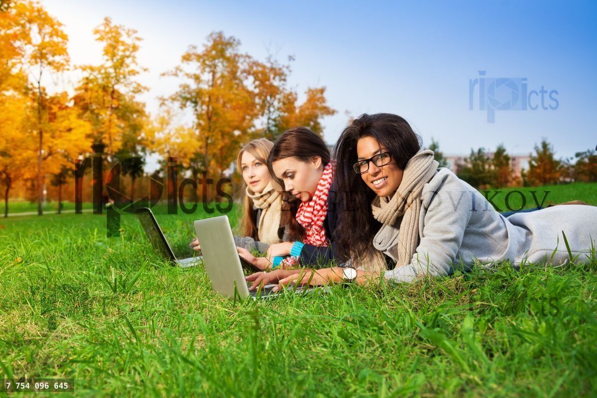 fun browsing in the park