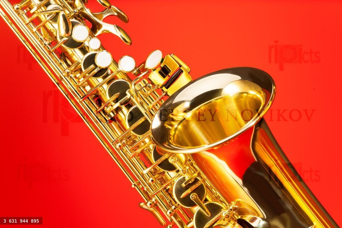 Fragment view of alto saxophone with bell and keys
