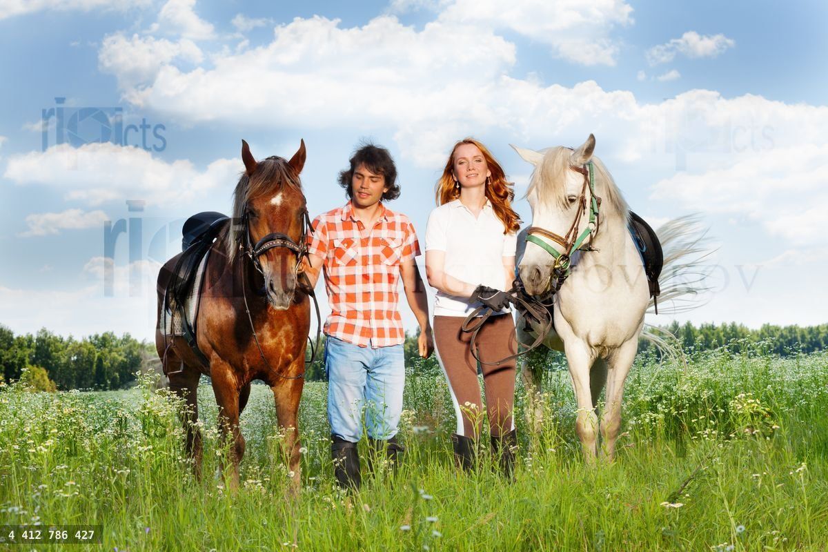 Young couple enjoy walking with horses in a field