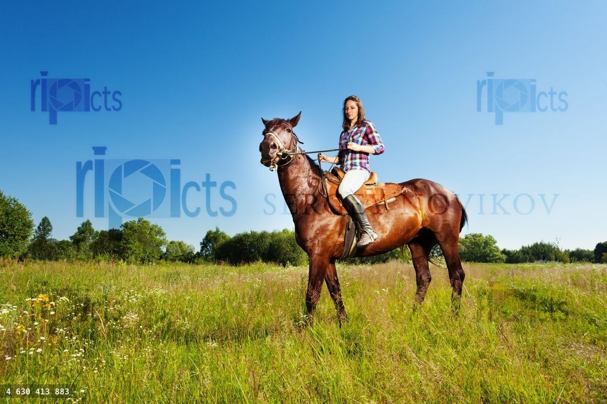 Young woman and her brown stallion in a meadow