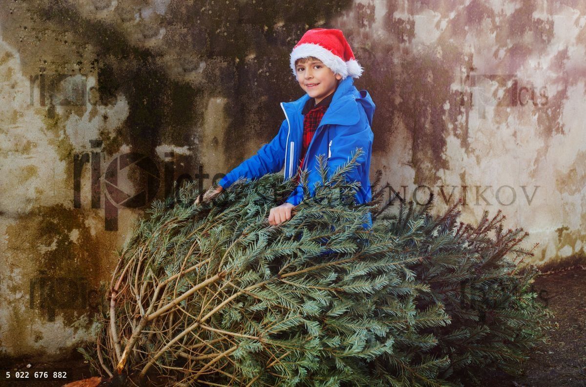 Young boy in a Santa hat stand plying with Christmas tree