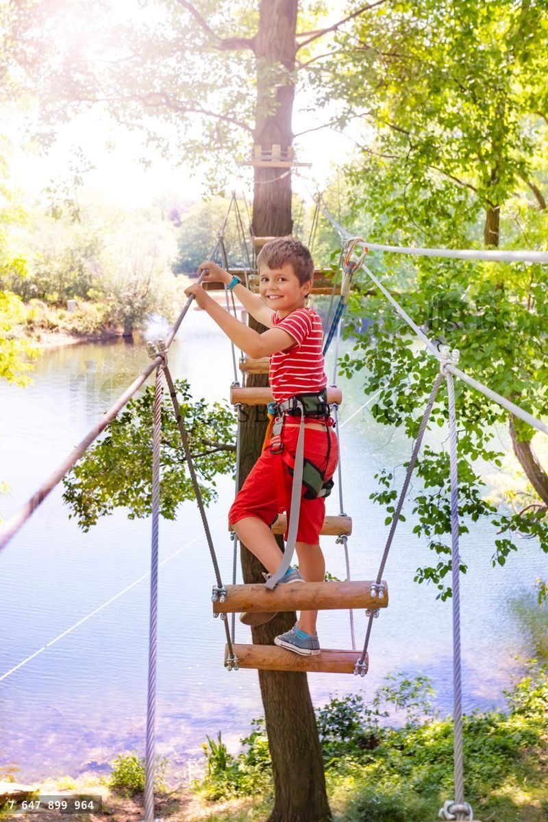 Boy and high tree rope bridge in adventure park