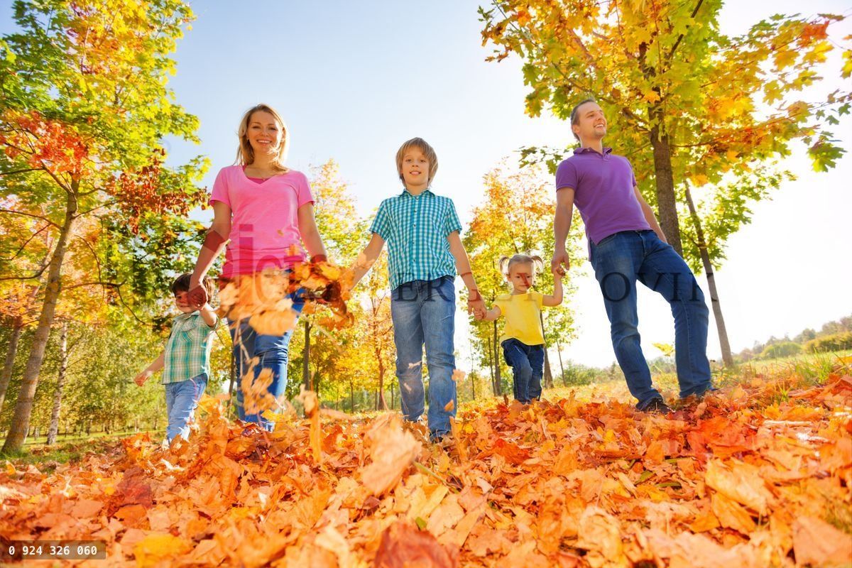 Famille heureuse marchant ensemble, tenant la main