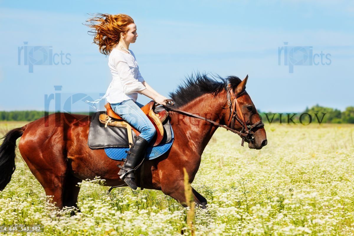 Young woman galloping horseback in flowery meadow