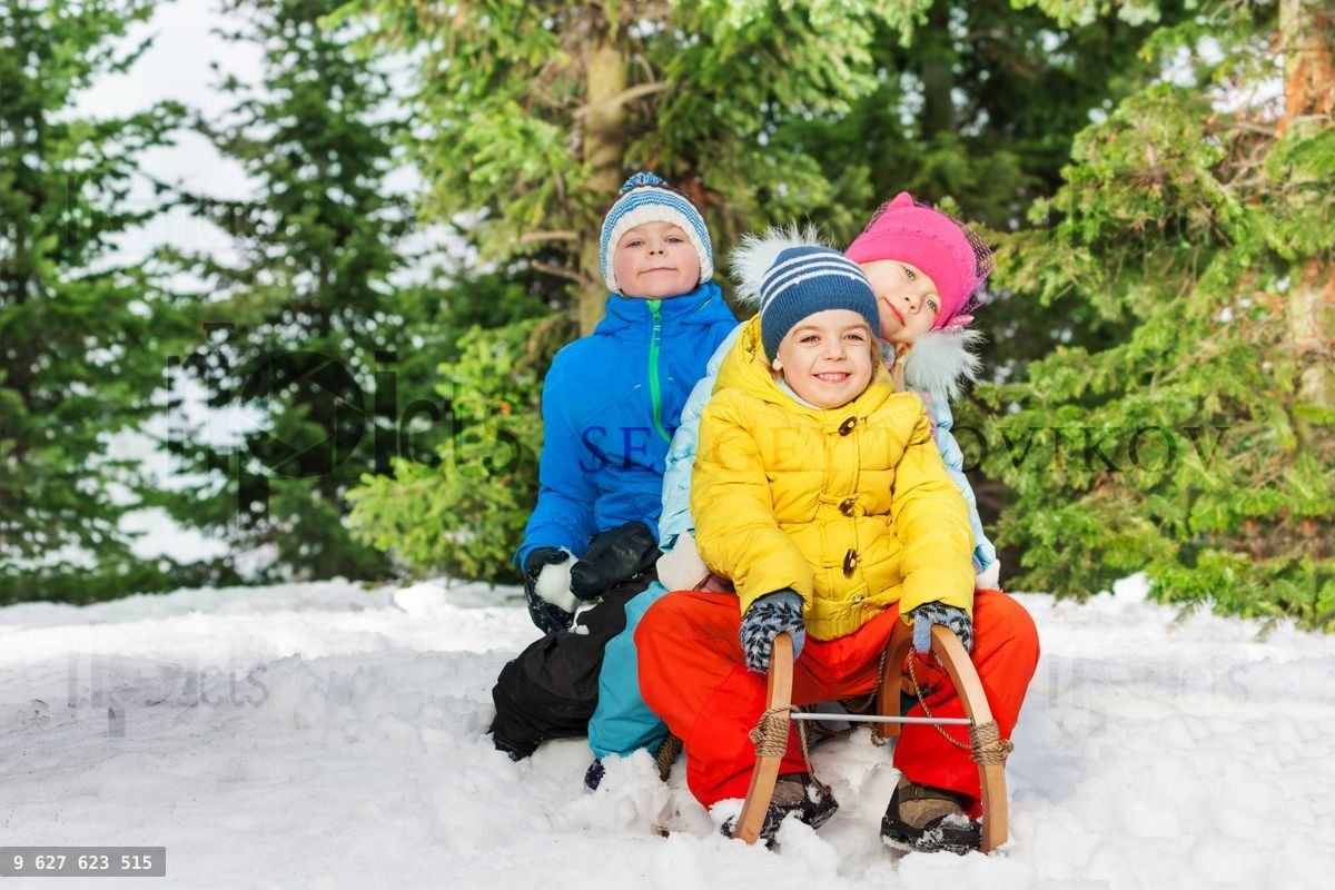 Group of kids slide down on sledge in the park