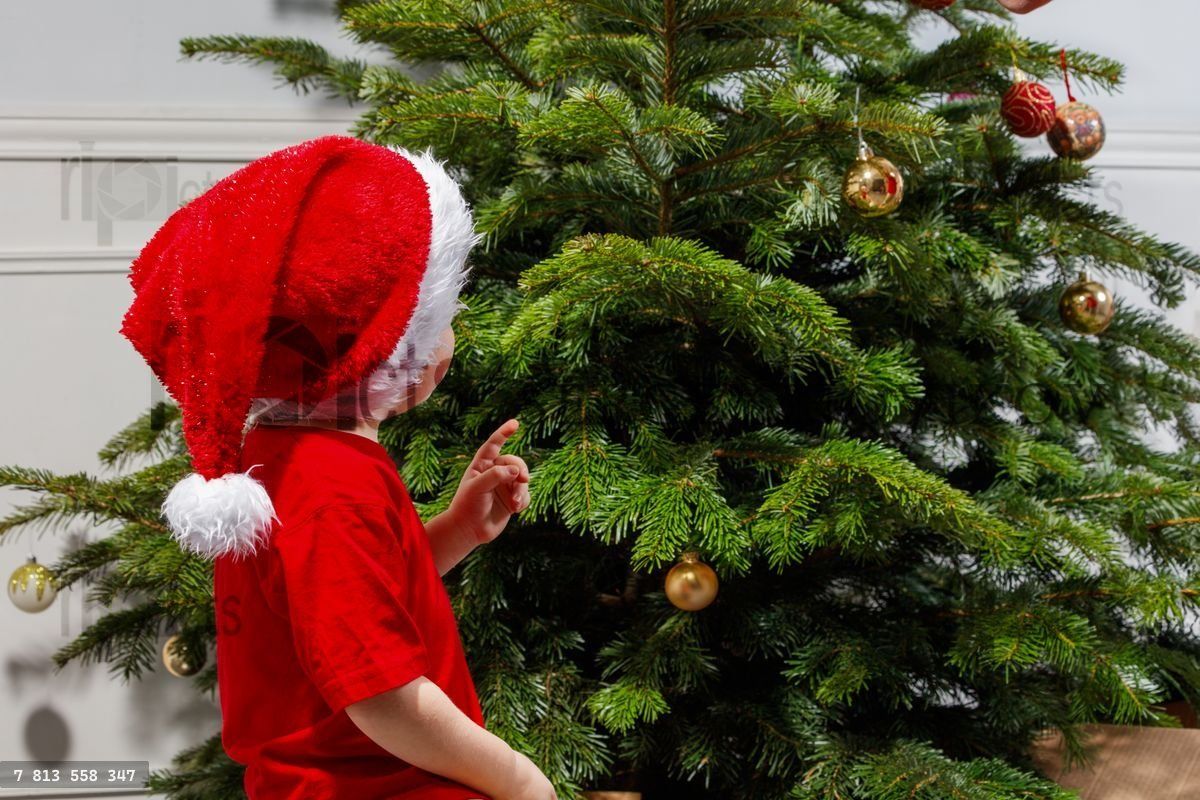 Small kid boy in festive cap admires decorated Christmas tree