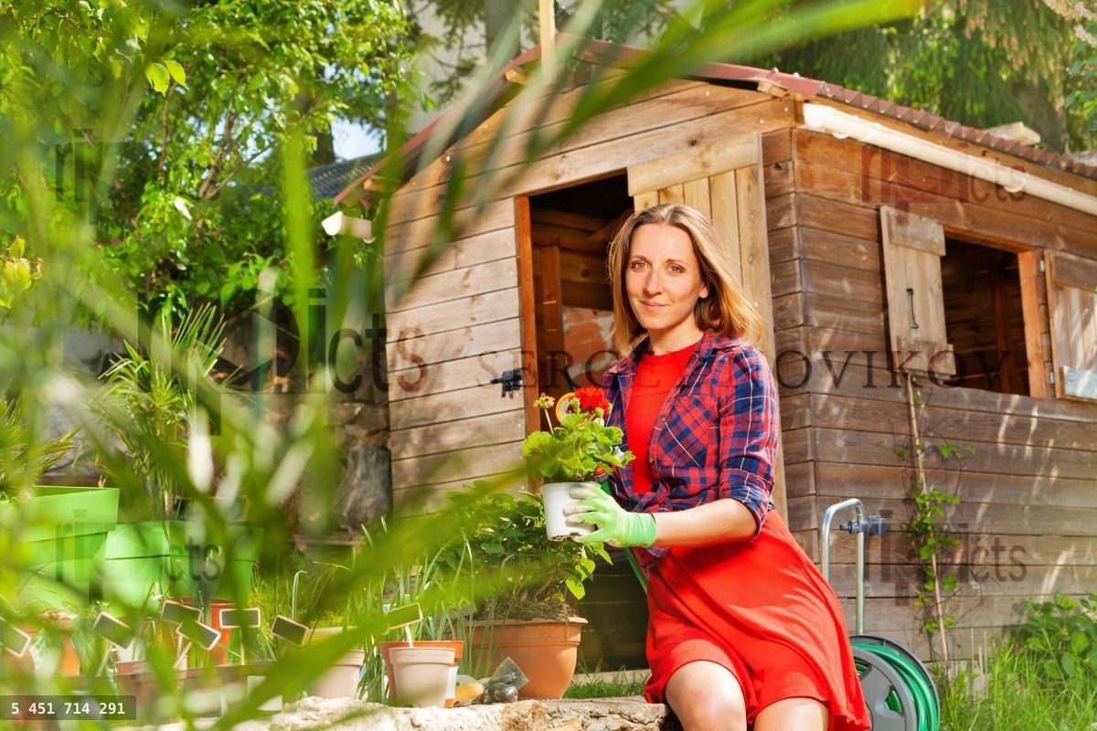 Woman holding pot with geranium in the garden