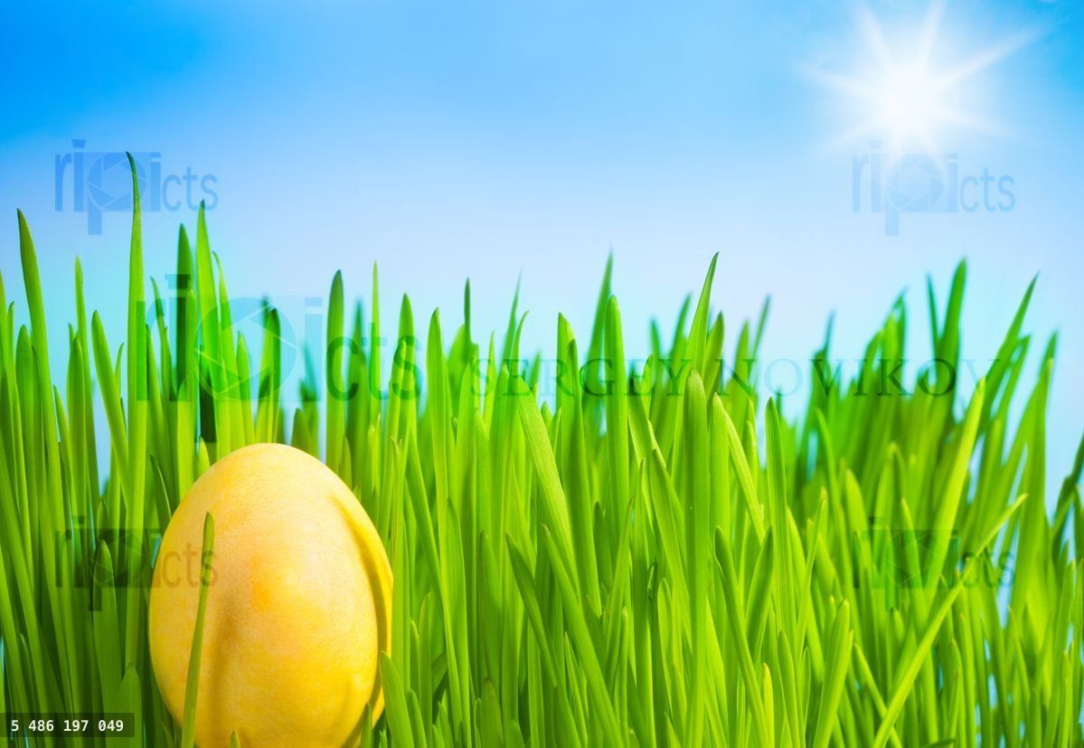 Yellow Easter egg