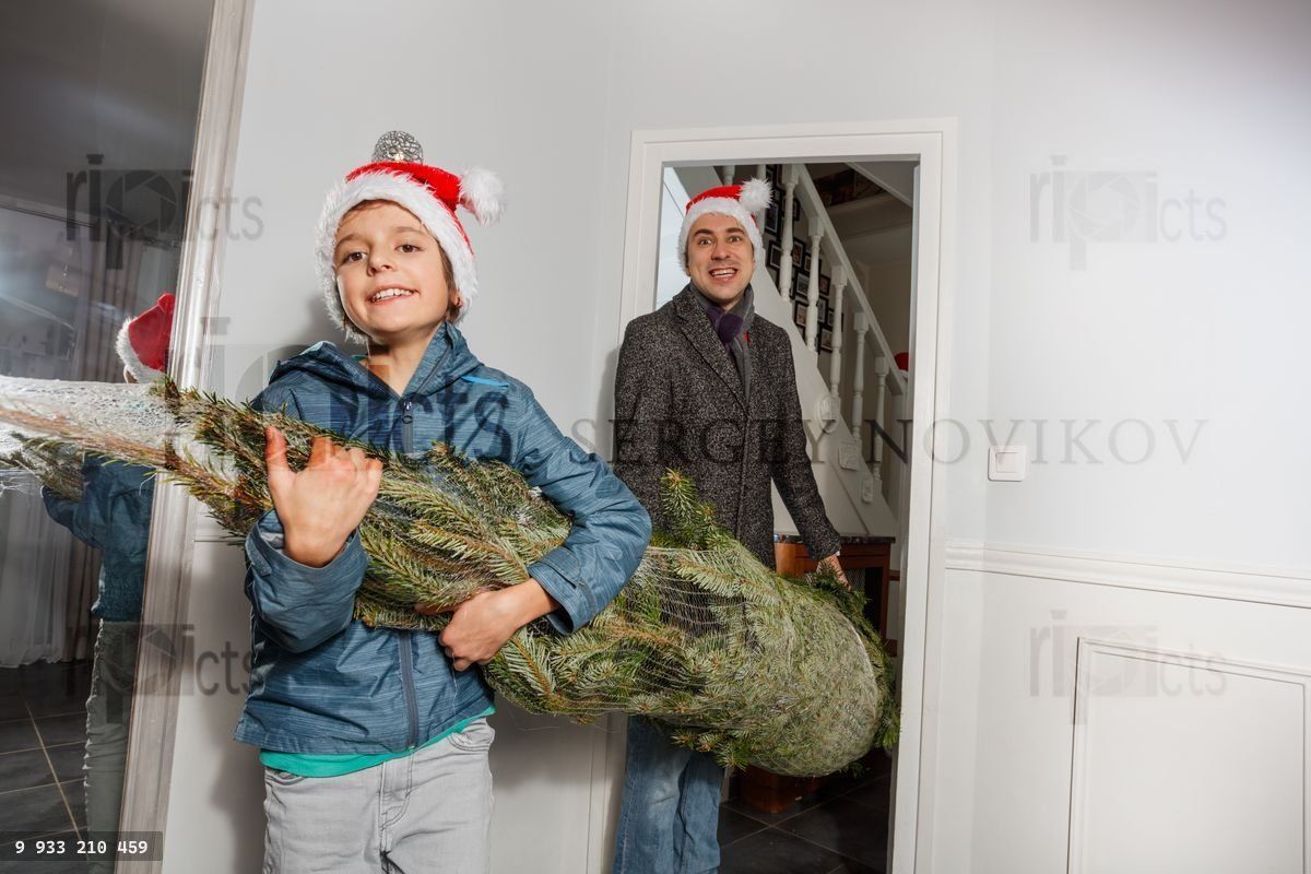 La famille rentre le sapin de Noël avec joie festive et sourires
