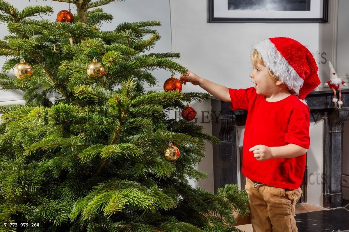 Excited boy in Santa hat decorate Christmas tree with xmas balls