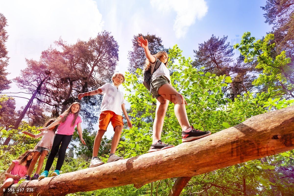 Group of kids walk over big log in the forest