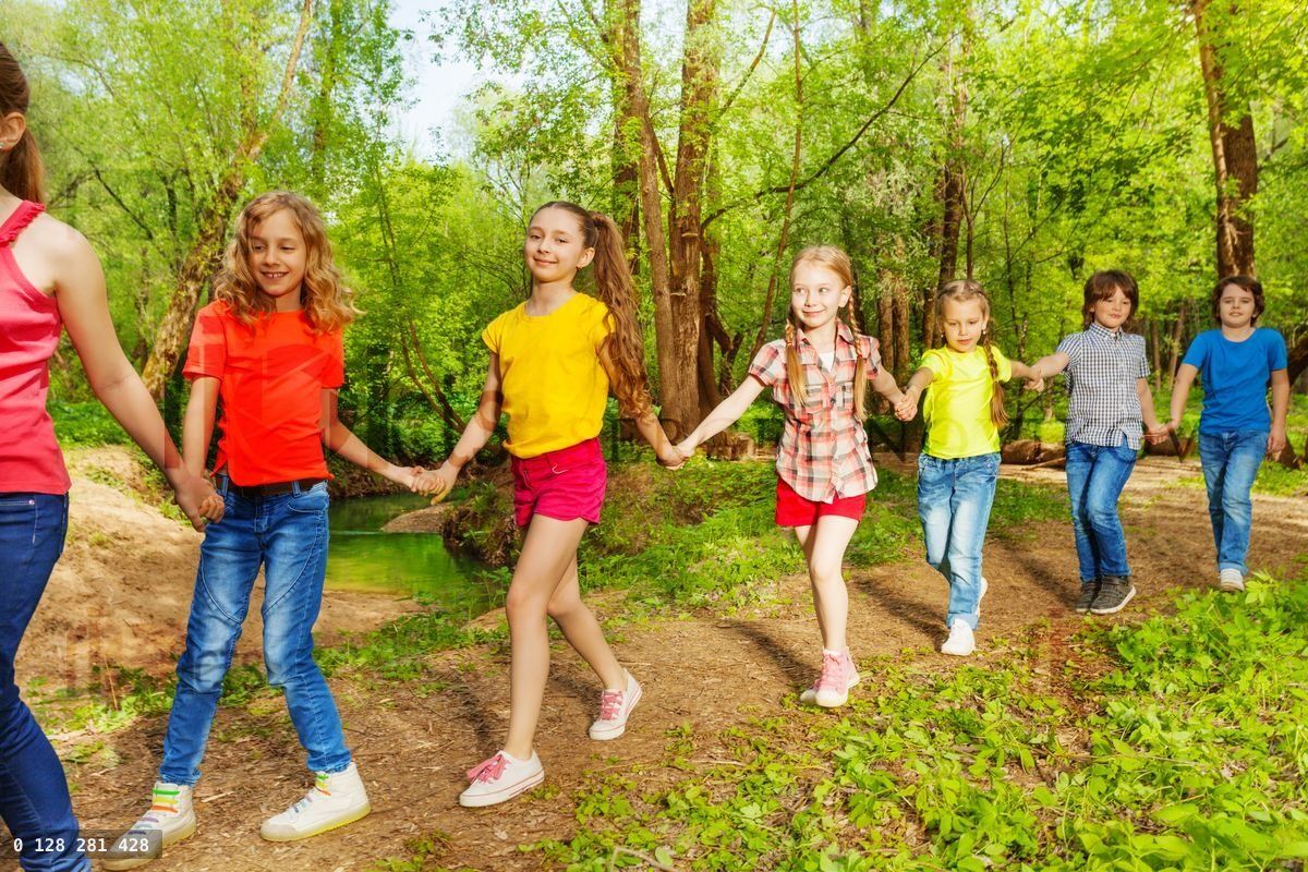 Enfants heureux marchant dans la forêt en se tenant la main