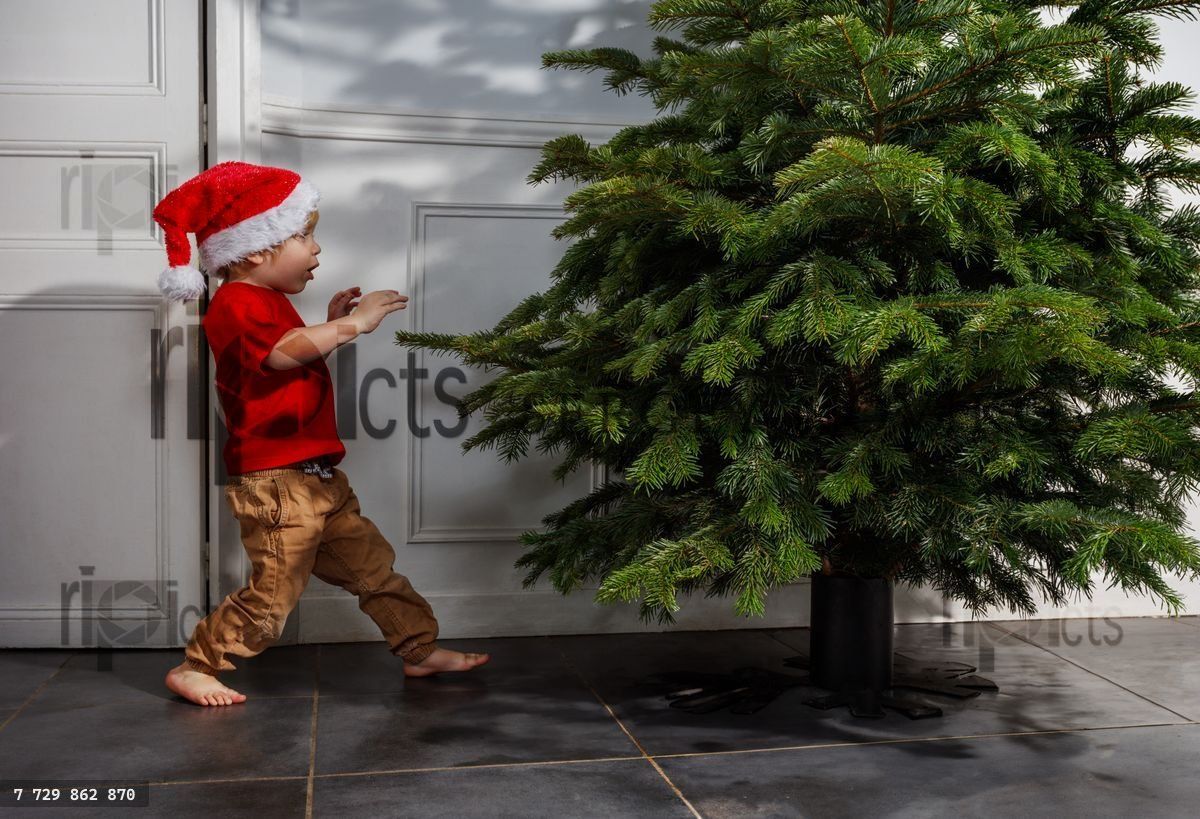 Young excited child, wearing Santa hat, mesmerized by xmas tree